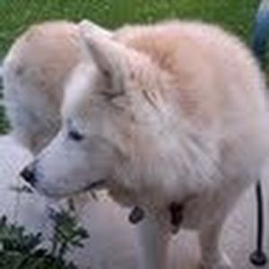 Meet your Posher, Corinne